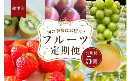 フルーツ定期便