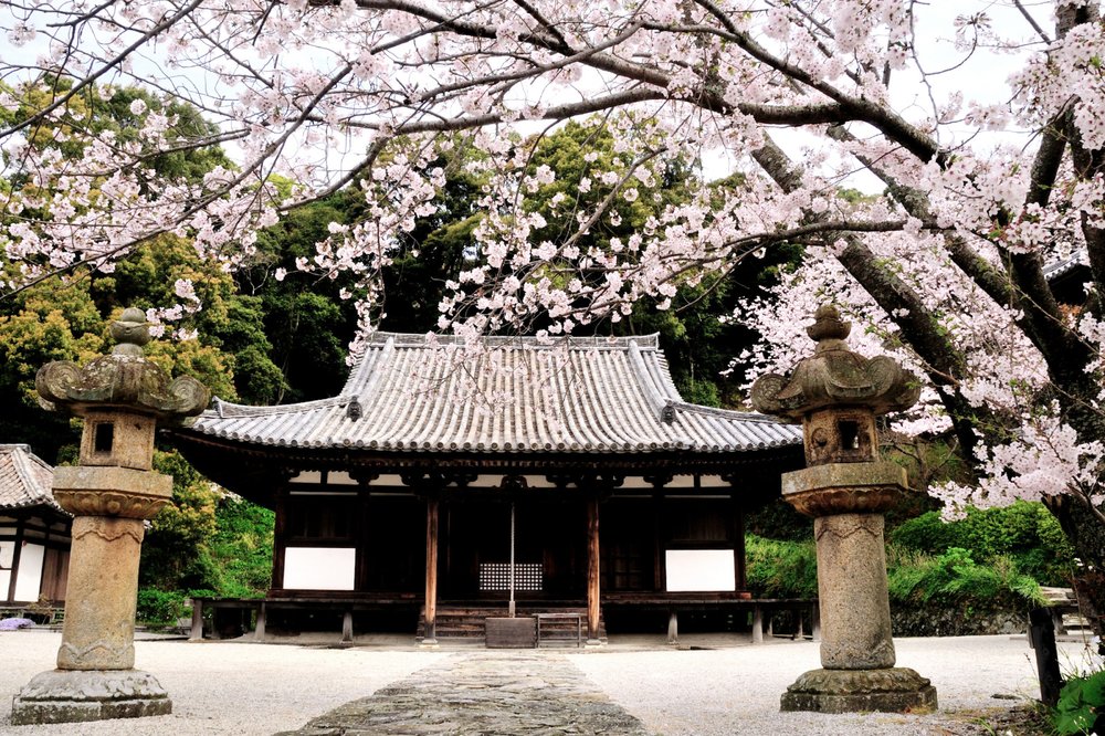 img-spot_163-1