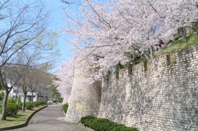 taishiyamakouen