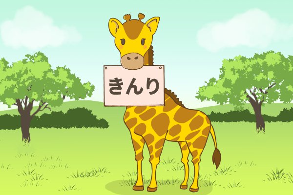 低金利のカードローン検索結果一覧